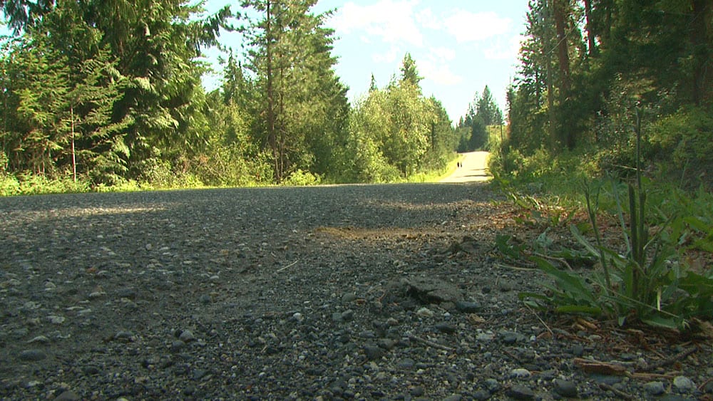 The stretch of Yankee Flats road where Ashley Simpson and Deanna Wertz were living when they vanished. Photo: Holly Moore/APTN