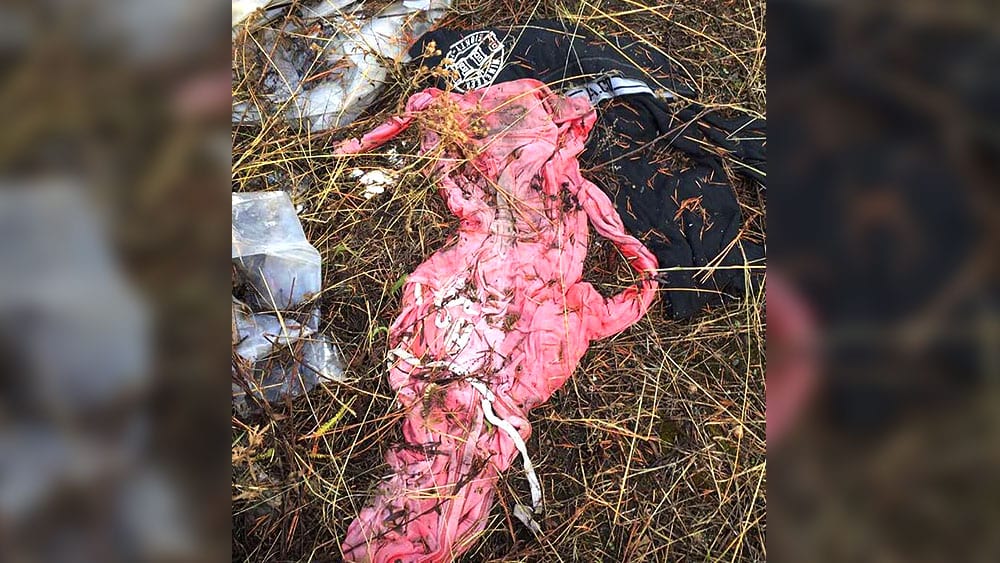 A pink shirt left discarded in the woods. Photo: Wendy Mohr.