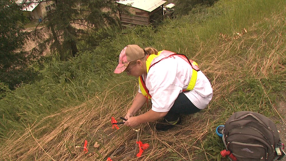 Wendy Mohr marks the location of a cellphone cover found on the highway. Photo: Rob Smith/APTN