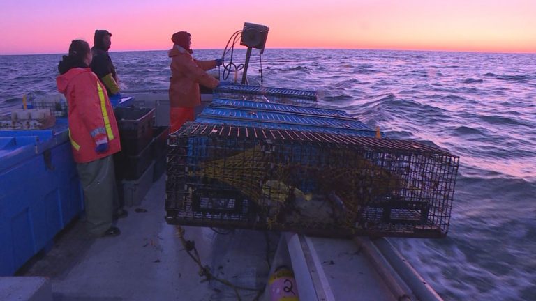 Micmac Fish 20 years ago the Supreme Court ruled on Mi’kmaq fishing rights, so what ...