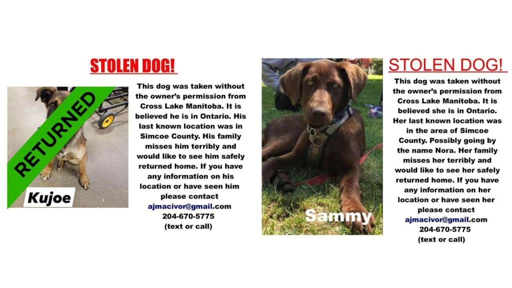 First Nation family still waiting to get dog back from animal rescue group - APTN News First Nation family still waiting to get dog back from animal rescue group - APTN News