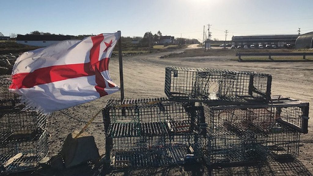 Lobster harvesters