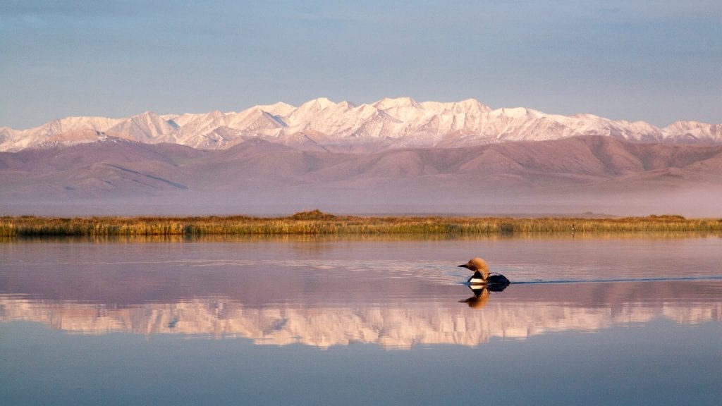 Arctic Wildlife Refuge