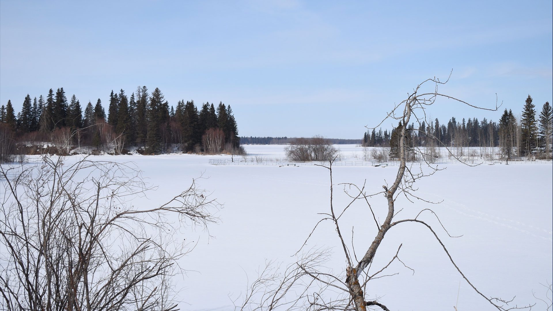 elk island national park landscape