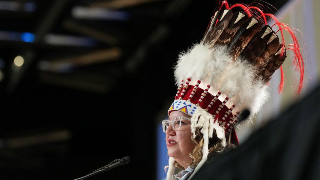 afn national chief