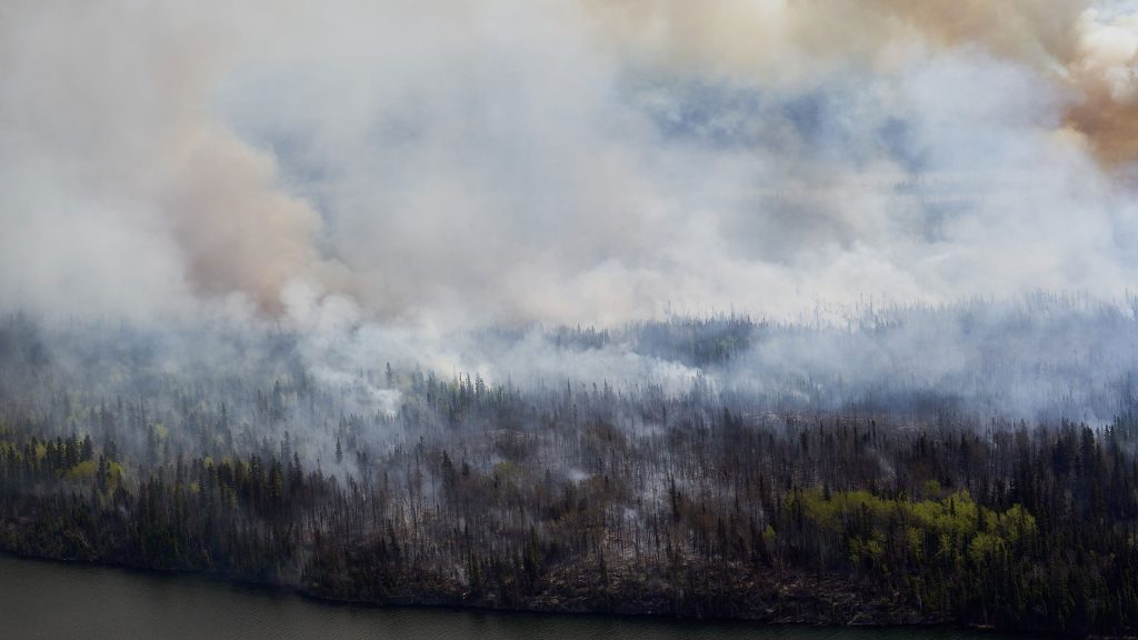 Wildfire smoke